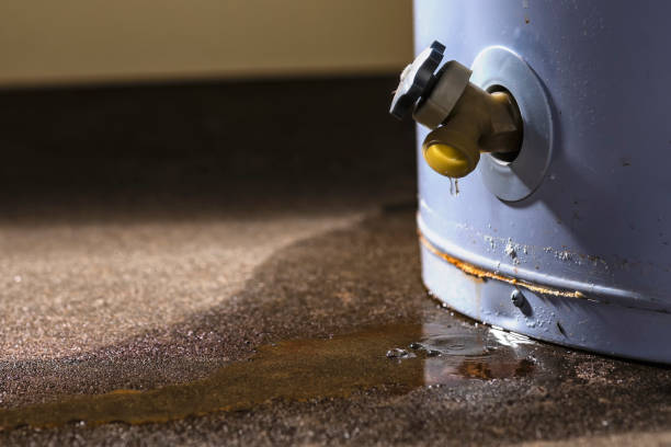 Best Water damage cleanup near me  in Loma Linda, CA