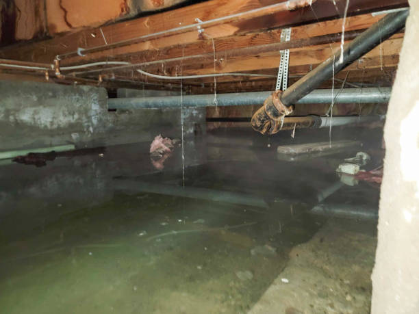 Best Emergency water damage restoration  in Loma Linda, CA