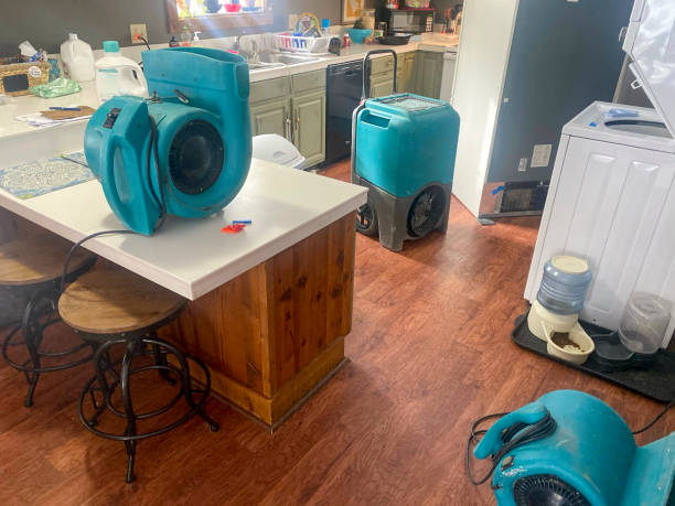  Loma Linda, CA Water damage restoration Pros