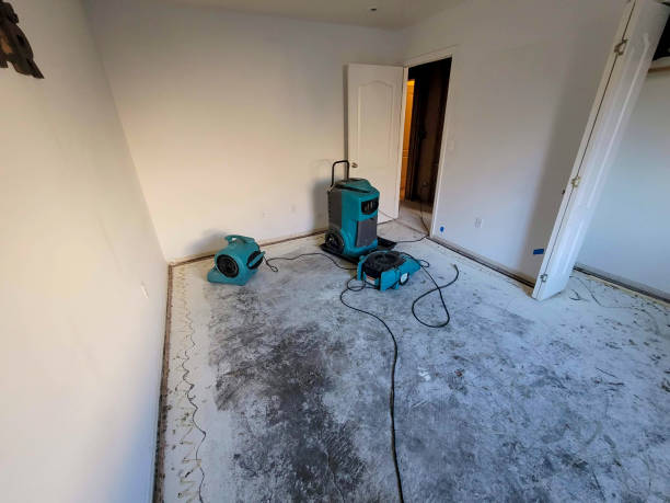 Best Fire Damage Restoration  in Loma Linda, CA