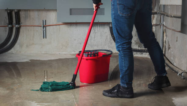 Best Mold removal after water damage  in Loma Linda, CA
