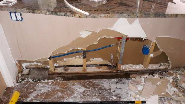 Best Water damage restoration near me  in Loma Linda, CA