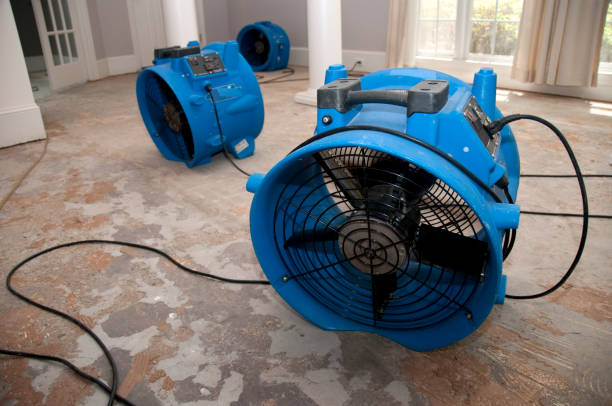 Best Emergency water damage restoration  in Loma Linda, CA