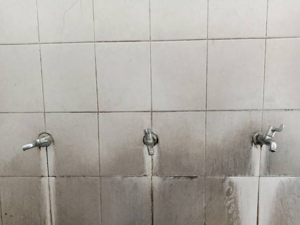 Best Professional water damage repair  in Loma Linda, CA