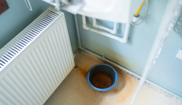 Best Professional water damage repair  in Loma Linda, CA