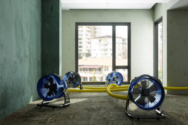 Best Water damage restoration near me  in Loma Linda, CA